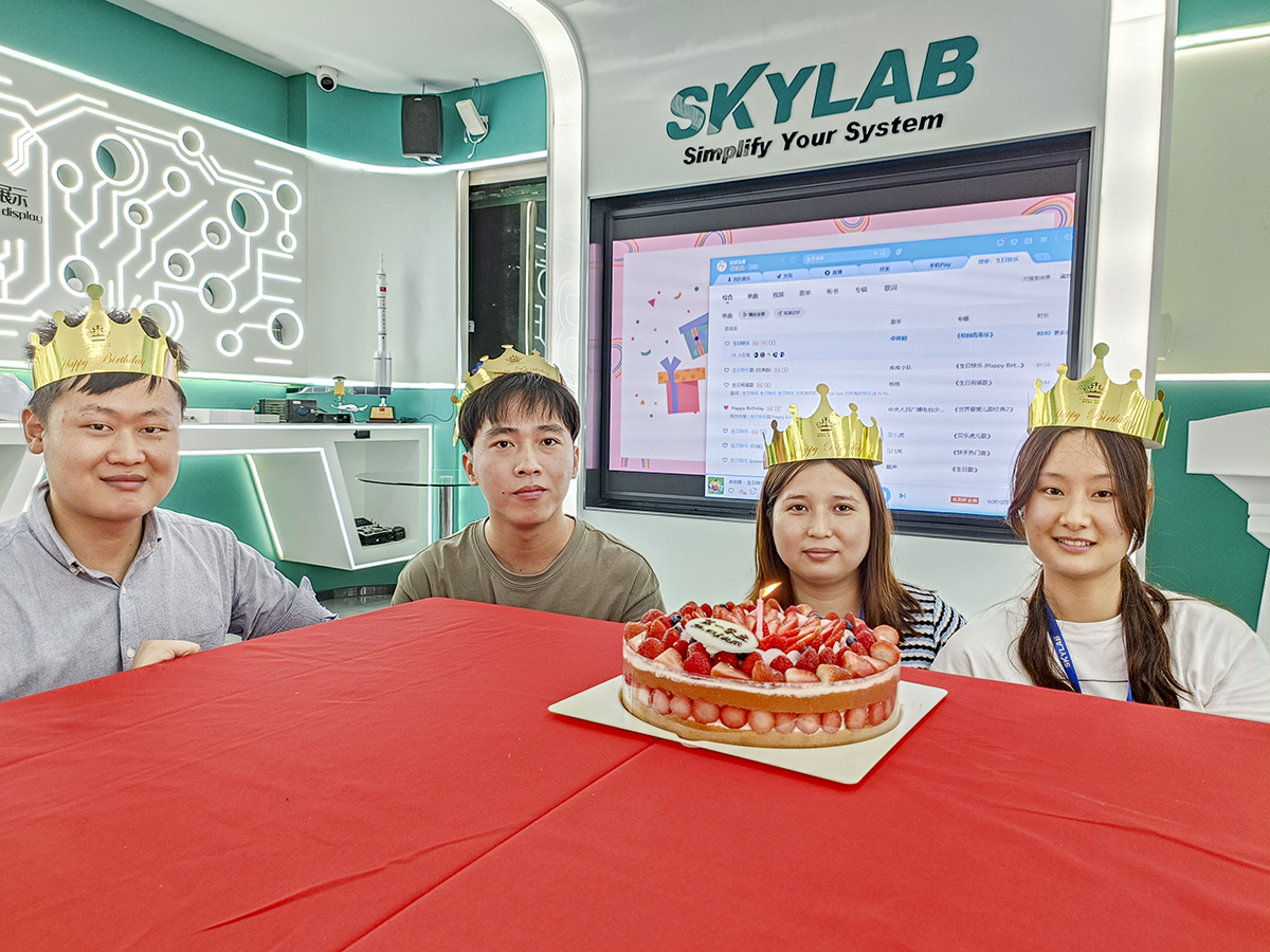 赴一场春日之约|SKYLAB 2023年第一季度生日会、迎新会