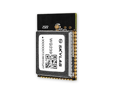 蓝牙wifi二合一模块WG239（esp32方案）